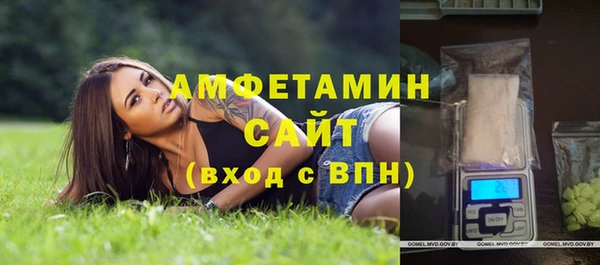 гашик Тихвин