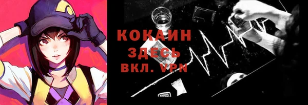 тгк Богородск