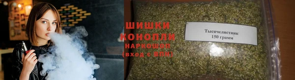 амф Богородицк