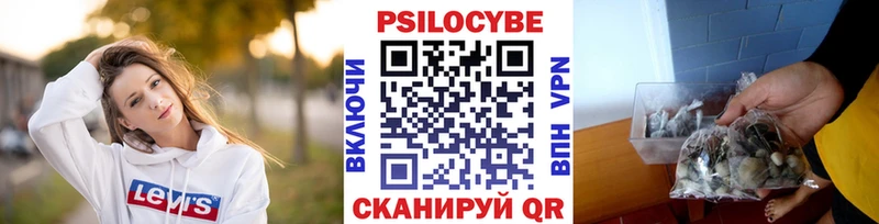 Галлюциногенные грибы Magic Shrooms  Вичуга 
